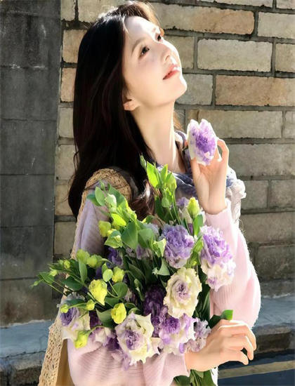 2026贺岁档堡垒2012：年度压轴作品主流分析，蓝光原盘